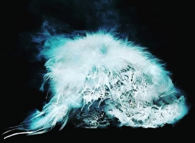 45633889_497471970766106_7667340021710054526_n